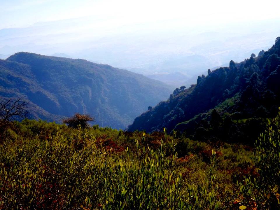Margalla Hills National Park